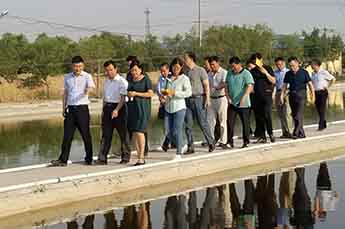 乐陵市省派第一书记一行莅临恒运能源集团旗下农业产业清洋湖指导工作