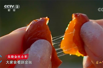 恒运能源集团旗下农业产业百枣纲目（集团）四大系列枣产品亮相央视《魅力中国城》