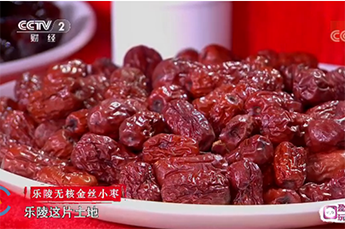 恒运能源集团旗下农业产业百枣纲目（集团）四大系列枣产品亮相央视《魅力中国城》