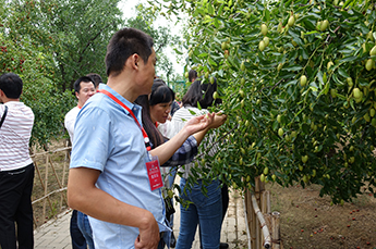 第29届中国（乐陵）金丝小枣文化节 暨第五届百枣纲目（集团）新品发布会第一场活动圆满结束 百枣纲目（集团）大型经销商、采购商主场