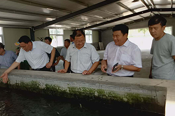 山东省淡水研究院疾病防控室秦玉广主任、生态病理研究室 杜兴华主仼莅临清洋湖指导工作
